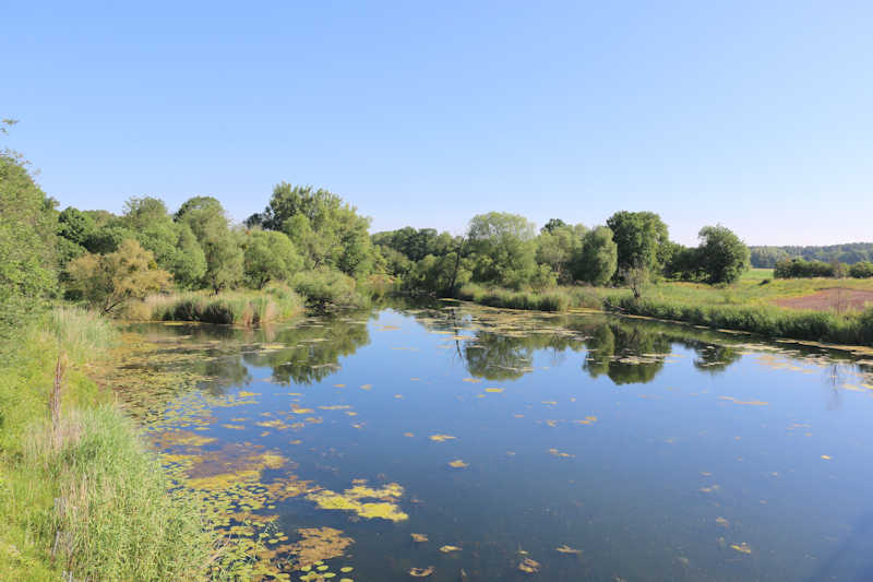 Alte Elbe bei Plötzky